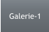 Galerie-1