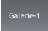 Galerie-1